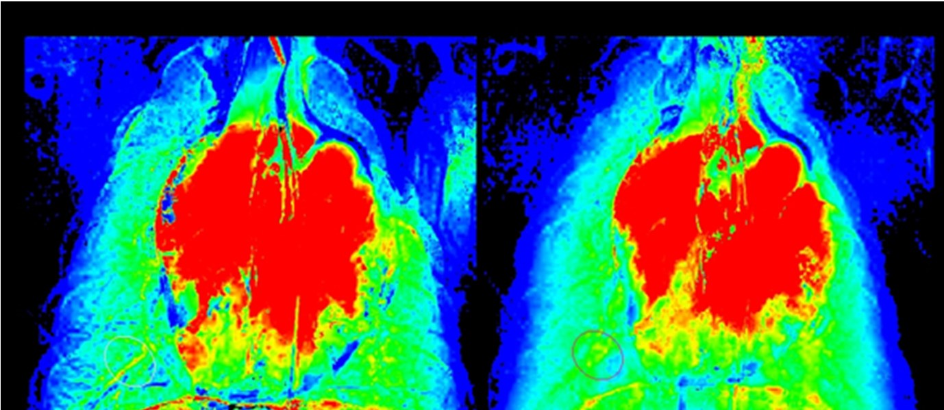 Airway safety &mdash; perfusion